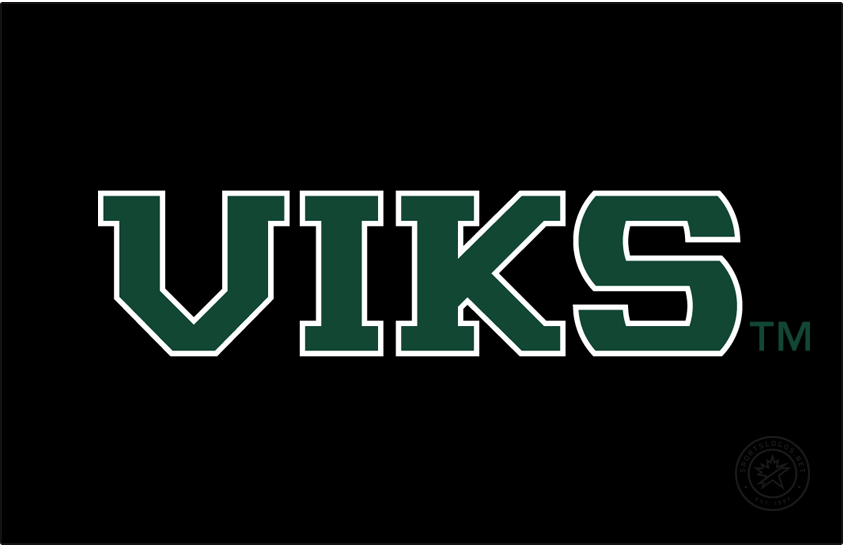 Portland State Vikings 2016-Pres Wordmark Logo v5 diy DTF decal sticker